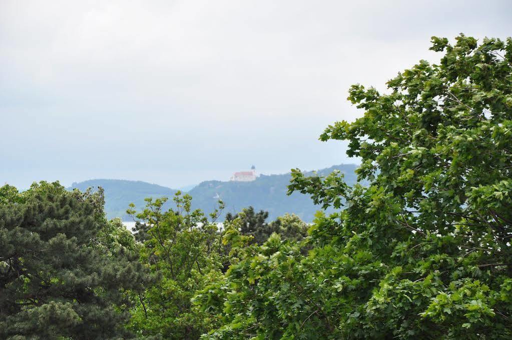 Villa Muzsa Deluxe Balatonfüred Esterno foto